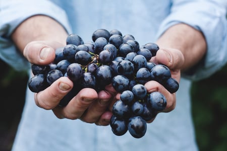 Low hanging fruit in Multifamily