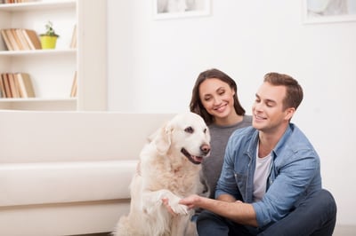 Is Pot the New Pets?